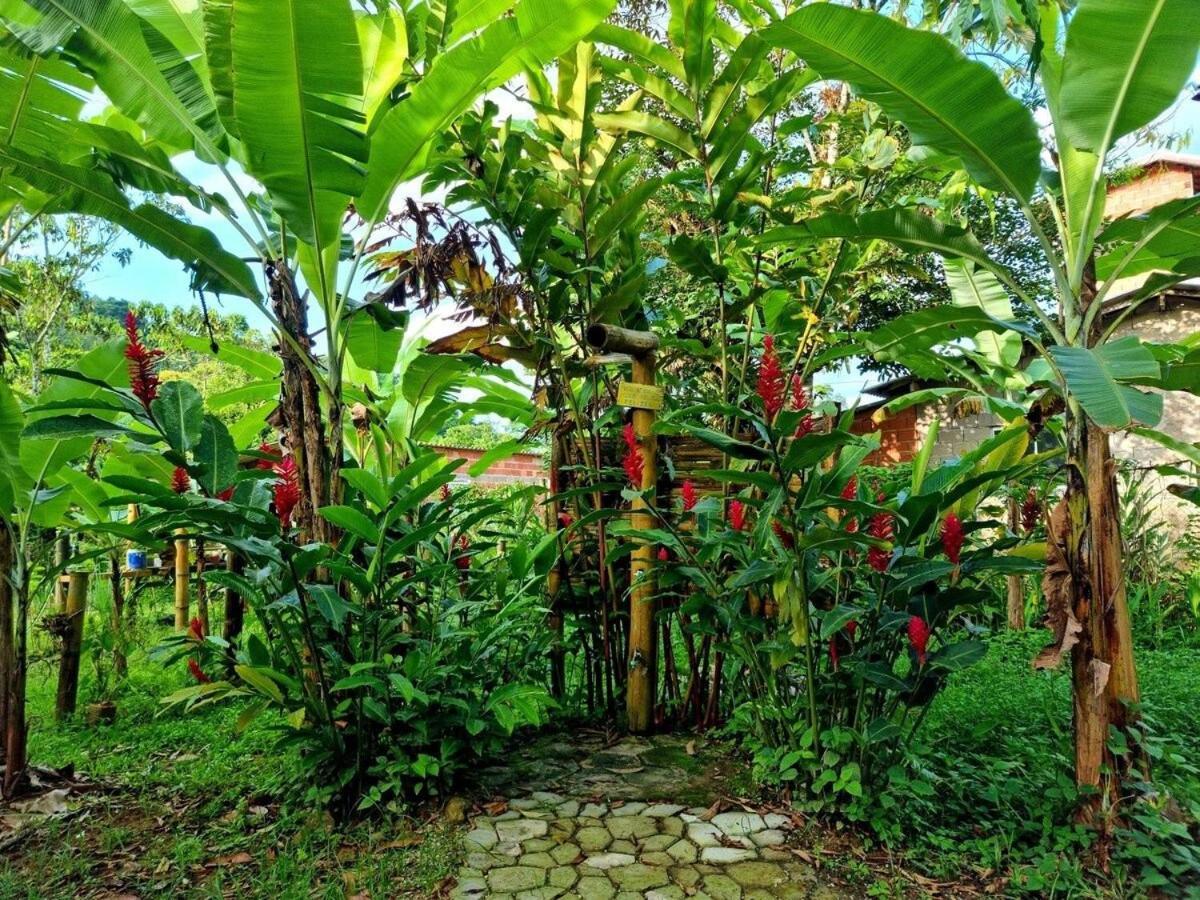 Cambuca Surf Skate Villa Ubatuba Eksteriør billede
